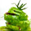 asparagus photograph